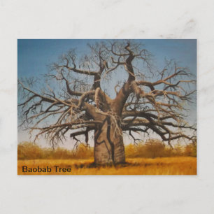 Postcard Baobab Tree Postkarte