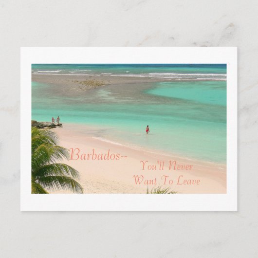 POSTCARD, BARBADOS - SIE WERDEN NIE GEWOLLT, VERLA POSTKARTE (Vorderseite)
