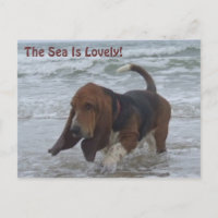 Postcard Basset Hound am Meer