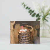 Postcard Big Snake QLD Australien große Schlange Postkarte (Stehend Vorderseite)