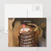 Postcard Big Snake QLD Australien große Schlange Postkarte (Vorne/Hinten)