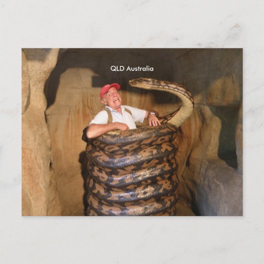 Postcard Big Snake QLD Australien große Schlange Postkarte (Vorderseite)