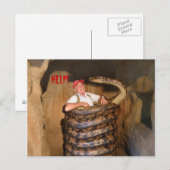 Postcard Big Snake QLD Australien Postkarte (Vorne/Hinten)