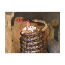 Postcard Big Snake QLD Australien