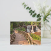 Postcard Blackwater Falls Staat Park West Virginia Postkarte (Stehend Vorderseite)