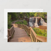 Postcard Blackwater Falls Staat Park West Virginia Postkarte (Vorne/Hinten)