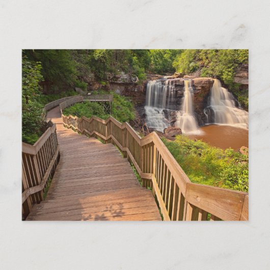 Postcard Blackwater Falls Staat Park West Virginia Postkarte (Vorderseite)