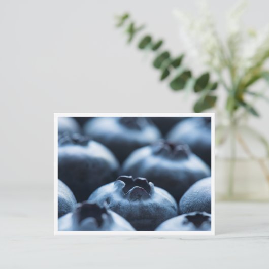 Postcard - Blaubeeren Postkarte (Stehend Vorderseite)