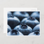 Postcard - Blaubeeren Postkarte (Vorne/Hinten)