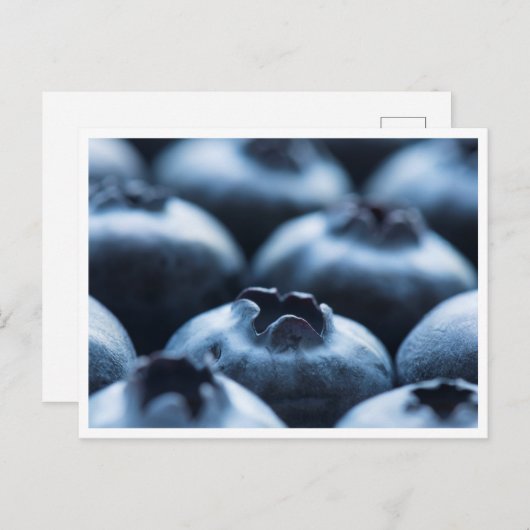 Postcard - Blaubeeren Postkarte (Vorne/Hinten)