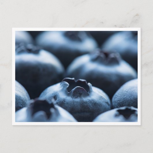 Postcard - Blaubeeren Postkarte (Vorderseite)