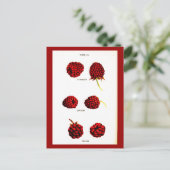 Postcard-Botanicals-Himbeeren Postkarte (Stehend Vorderseite)