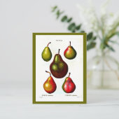 Postcard-Botanicals-Pierre Joseph Redoute 11 Postkarte (Stehend Vorderseite)