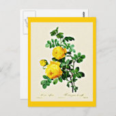 Postcard-Botanicals-Pierre Joseph Redoute 13 Postkarte (Vorne/Hinten)