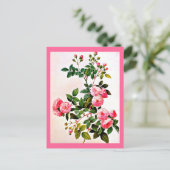 Postcard-Botanicals-Pierre Joseph Redoute 14 Postkarte (Stehend Vorderseite)