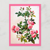 Postcard-Botanicals-Pierre Joseph Redoute 14 Postkarte (Vorderseite)