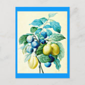 Postcard-Botanicals-Pierre Joseph Redoute 21 Postkarte (Vorderseite)
