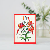 Postcard-Botanicals-Pierre Joseph Redoute 4 Postkarte (Stehend Vorderseite)