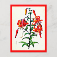 Postcard-Botanicals-Pierre Joseph Redoute 4