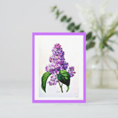 Postcard-Botanicals-Pierre Joseph Redoute 8 Postkarte (Stehend Vorderseite)