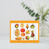 Postcard-Botanicals-Yellow & Orange Frucht Postkarte (Stehend Vorderseite)