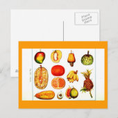 Postcard-Botanicals-Yellow & Orange Frucht Postkarte (Vorne/Hinten)