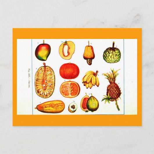 Postcard-Botanicals-Yellow & Orange Frucht Postkarte (Vorderseite)
