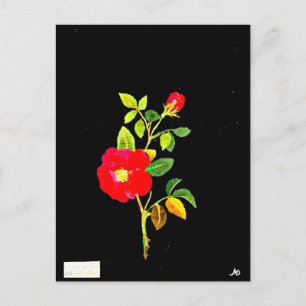 Postcard-Botanische Kunst-Mary-Delany 16 Postkarte