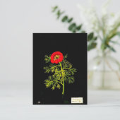 Postcard-Botanische Kunst-Mary-Delany 18 Postkarte (Stehend Vorderseite)