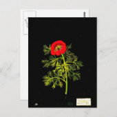 Postcard-Botanische Kunst-Mary-Delany 18 Postkarte (Vorne/Hinten)