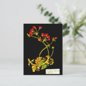 Postcard-Botanische Kunst-Mary-Delany 19 Postkarte (Stehend Vorderseite)