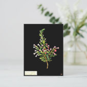 Postcard-Botanische Kunst-Mary-Delany 20 Postkarte (Stehend Vorderseite)