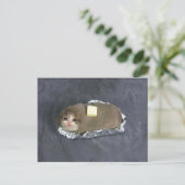 Postcard Butta Cat Meme Postkarte (Stehend Vorderseite)