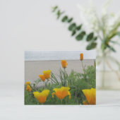 Postcard - California Poppies am Strand Postkarte (Stehend Vorderseite)