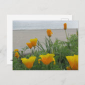 Postcard - California Poppies am Strand Postkarte (Vorne/Hinten)