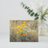 Postcard - California Poppy Postkarte (Stehend Vorderseite)