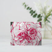 Postcard - Carnation in Rot und Weiß Postkarte (Stehend Vorderseite)