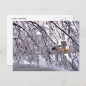 Postcard Castel Locarno Postkarte (Vorne/Hinten)