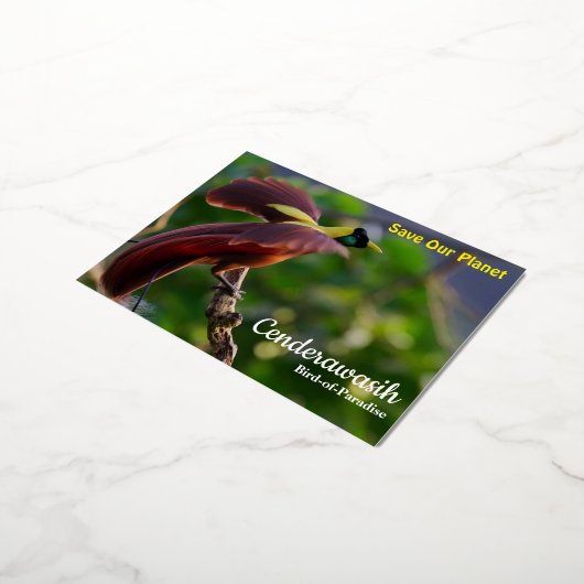 Postcard Cenderawasih Folien Feiertagspostkarte (Gedreht)