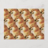 Postcard Cheems Meme Postkarte (Vorderseite)