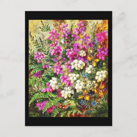 Postcard-Classic/Vintag-Albert Durer Lucas 5 Postkarte (Vorderseite)