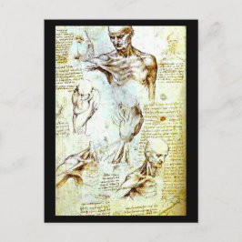 Postcard-Classic/Vintag-Leonardo da Vinci 13 Postkarte