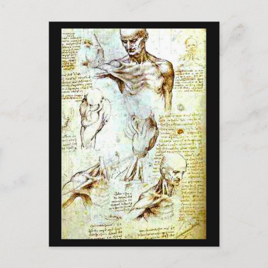 Postcard-Classic/Vintag-Leonardo da Vinci 13 Postkarte (Vorderseite)