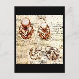 Postcard-Classic/Vintag-Leonardo da Vinci 9 Postkarte