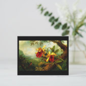 Postcard-Classic/Vintag-Martin Johnson Heade 11 Postkarte (Stehend Vorderseite)