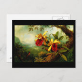 Postcard-Classic/Vintag-Martin Johnson Heade 11 Postkarte (Vorne/Hinten)