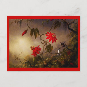 Postcard-Classic/Vintag-Martin Johnson Heade 21 Postkarte