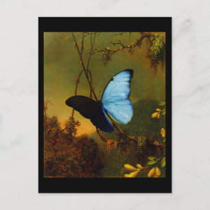 Postcard-Classic/Vintag-Martin Johnson Heade 3 Postkarte
