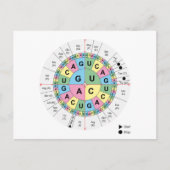 Postcard Codons Amino Acids Chart Genetic Code DNA Postkarte (Vorderseite)