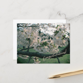 PostCard Congratulations! Feiertagspostkarte